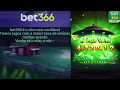 bet366