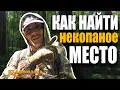 Lagu Места для поиска МОНЕТ, о которых многие не догадываются. КАК НАЙТИ БОЛЬШЕ МОНЕТ. КЛАДОМАНИЯ