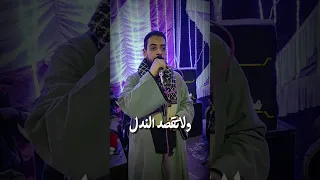 لاتقصد ليالي على الجدع والاصيل محمود السوهاجي Shorts 