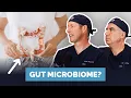 How To Fix Your Gut Microbiome And It Likely Needs Fixing