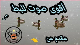 الصوت الأفضل لإستدعاء البط الخضيري مضاف له صوت خفيف لصوت البط السماري Duck Call Sound 
