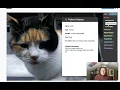 Meoisis Pt 3