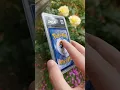 PCA Reshiram Charizard GX Full Art Reveal