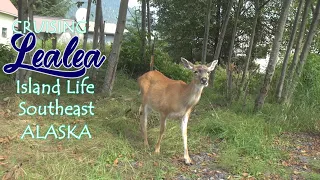 From the House to the Boat in under 10 Minutes