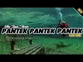 Download Lagu Dj Terbaru Pantek Pantek Pantek | Viral TikTok 2021 Slow Bass - (Abi Ziggi) New Remix