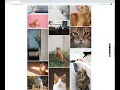 Unsplash Clone Angular Angular Material