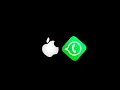 Download Lagu Nada Notifikasi Message WhatsApp Iphone 12!! TERBARU