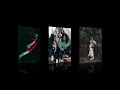 Image Reflection Effect Using Webkit-box-reflect css Property HTML CSS