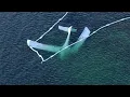 Pilot dies after plane crashes into Pemaquid Harbor in Bristol