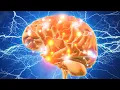 How to Boost Your Acetylcholine for Super Brain Power