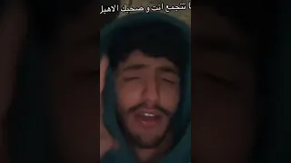 شفت نملة عاملة عملة 