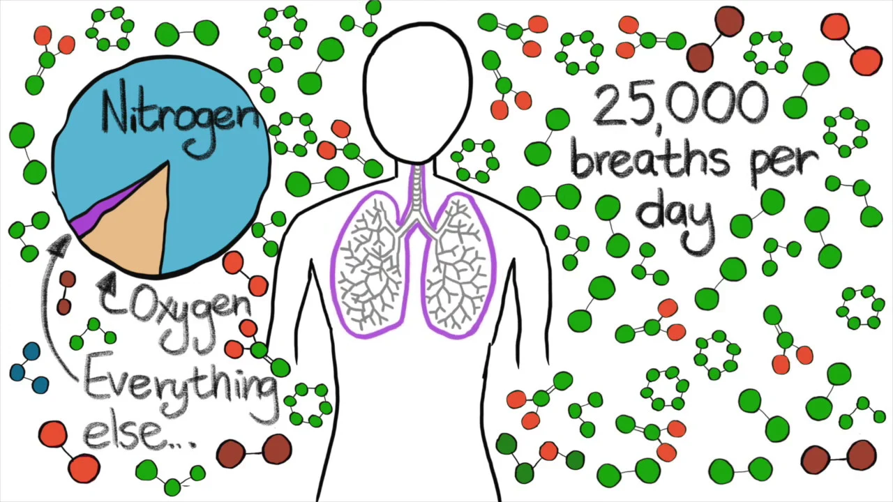 What's in the air we breathe? A primer on air pollution.