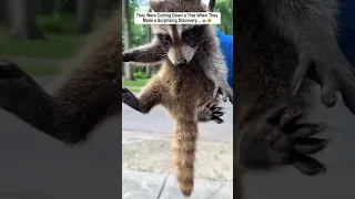 Extraordinary rescues #rescue #lovestory #animals #love #wildliferescue #heartwarming