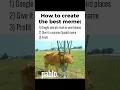 How to create THE BEST MEME