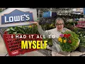 A Rainy-Day Surprise Lowe s Garden Center All to Myself