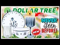 DOLLAR TREE HAUL Worthy Finds You NEED To GRAB Now NEVER Seen Before Arrivals Name BRAND Scores