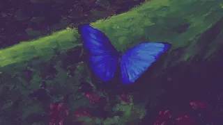 بيجاد فراشة زرقا دندنها