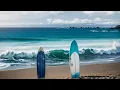 Ferus Gallery - Allah Las [AI Visualizer]
