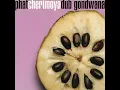 Dub in the Skies - Gondwana