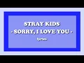 Download Lagu Sorry, I Love You (좋아해서 미안) - Stray Kids (Lyrics)