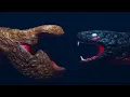 Download Lagu Bahamut Fish vs falak snake | sea monsters animation