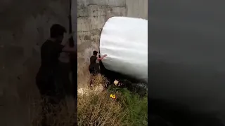 اوعى تلمس مياه السد وهي بتتصفي أبد ا         دندنها