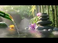 No Ads Relaxing Music For Sleeping ~ Deep sleep music, Relaxing music, Stress relief, Meditation...