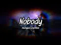 Lagu Avenged Sevenfold - Nobody (Lyrics)