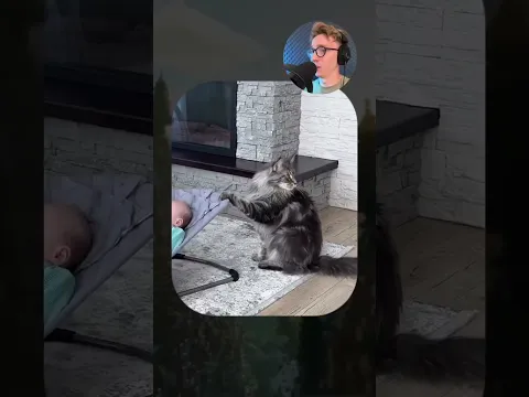 ВИРУСНЫЕ ВИДЕО / Кот впервые увидел пылесос 😳