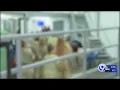 Inside the Jail