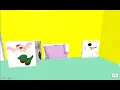 CodeHS Project