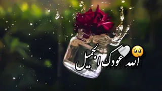 أروع ما ستسمع    حالات واتس اب دينيه   اناشيد اسلاميه  مقاطع قصيرة  ستوريات انستا دينيه قصيره دندنها