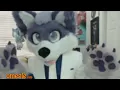 Packgod vs Omegle Furry