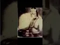 Download Lagu Shree swami samarth maharaj original photos | रोज दर्शन घ्या कामे पुर्ण होतील | akkalkot  swami 🙏