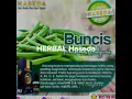 Download Lagu HASEDA HERBAL NYA KELUARGA INDONESIA