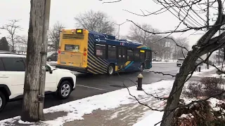 MTA NYCT Bus S59 S44 Bus Faning