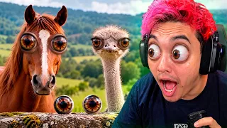 25 COSAS QUE NO SABIAS Y EL ANIMAL CON LOS OJOS MAS SALTONES π