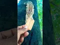 Download Lagu tu pehli tu aakhri 💞💞#song #squirrel shorts #mera chuchu #love #animals #ytshorts