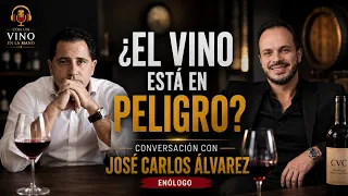 ¿Está el vino en peligro? | José Carlos Álvarez | Con un Vino en la Mano #2 | Carlos Torrealba