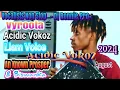 Download Lagu Best of Vyroota,Acidic Vokoz,Liam Voice,An Known \u0026 Vyroota Non Stop 2024(Vocalist) - Dj Ronnie Pro+