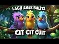 Download Lagu Lagu Anak Cit Cit Cuit / Lagu Anak Indonesia / Lagu Anak Balita / Lololo Kids