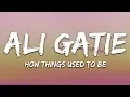 Download Lagu Ali Gatie - How Things Used to Be (Lyrics)
