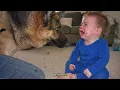 If This Wasn't Filmed, No One Would Believe What The German Shepherd Did To The Crying Baby