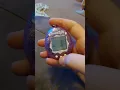 How to feed tamagotchi