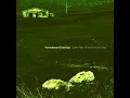 Sunlight Forgotten in a Piece of Glass - Reverberant Evenings