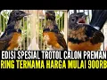 🔴 EDISI SPESIAL TROTOL PROSPEKAN TINGGAL PILIH 0838-7553-6945