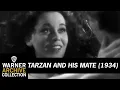 Lagu Clip | Tarzan and His Mate | Warner Archive