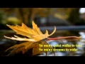 Download Lagu Stephen Bishop - It Might Be You [w/ lyrics]