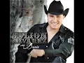 la abeja miope con julion alvarez
