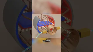 مبدأ عمل المحرك الكهربائي 